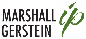 MarshallGerstein2016